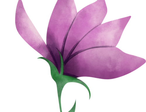 Méditation pour rompre les liens toxiques.