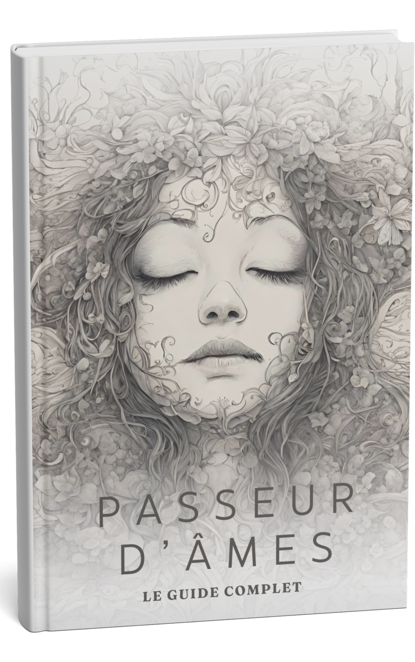 Le guide du Passeur d’âmes Couverture du guide du Passeur d’âmes